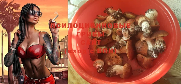 apvp Баксан