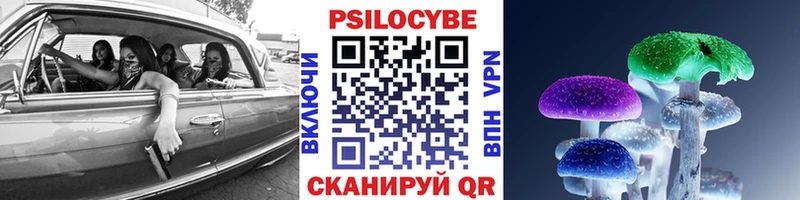 Галлюциногенные грибы GOLDEN TEACHER  как найти наркотики  omg маркетплейс  Черемхово 